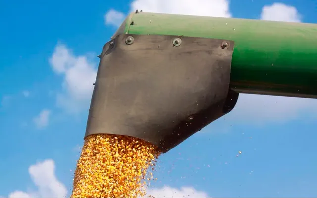 Maize grain unloading from a harvester spout